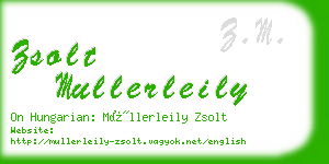 zsolt mullerleily business card